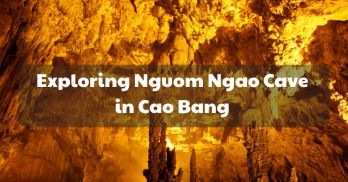 Exploring Nguom Ngao Cave in Cao Bang - Handspan Travel Indochina