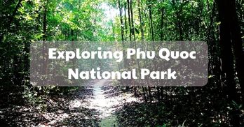 Exploring Phu Quoc National Park, a pristine beauty in Phu Quoc - Handspan Travel Indochina